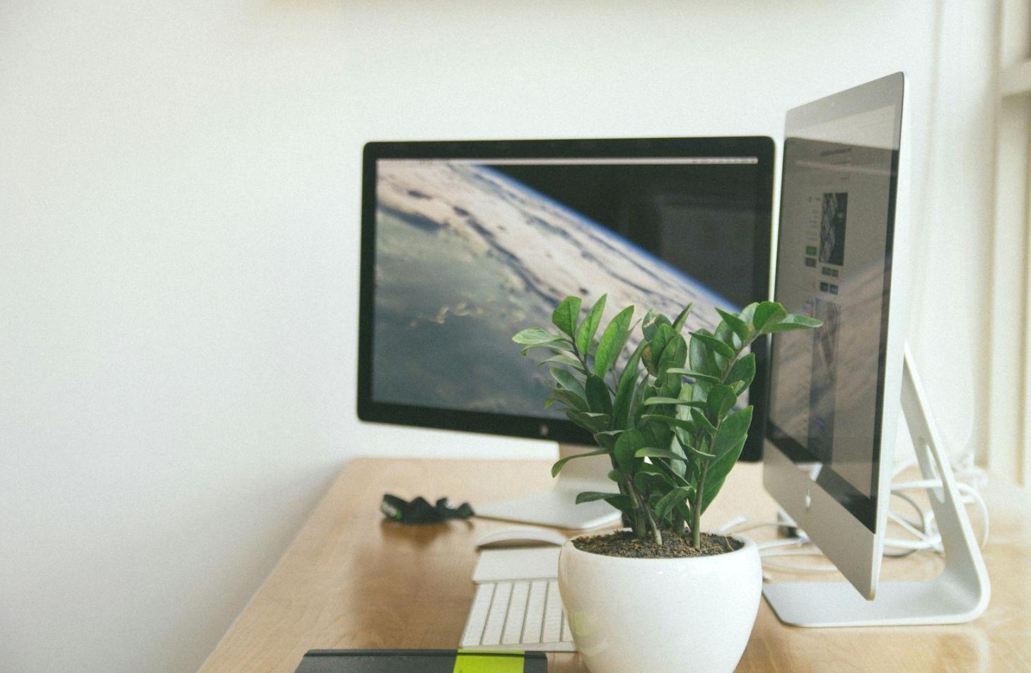 Equipo Solestivon desarrollando material educativo